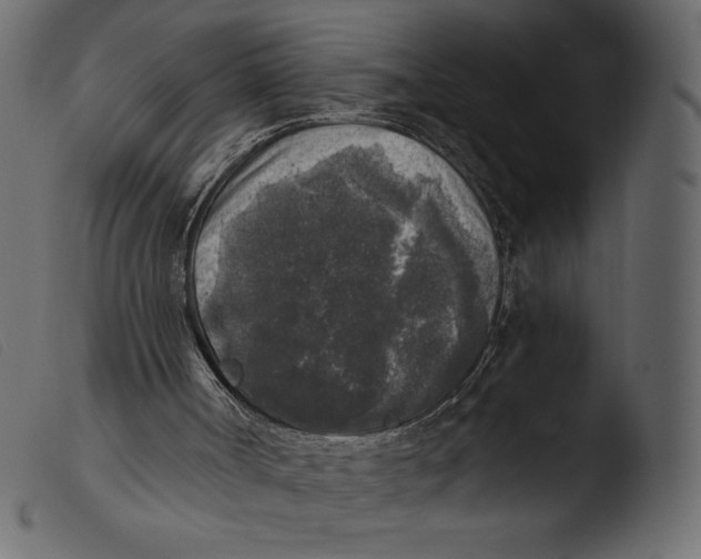 X0000103960002200810101255