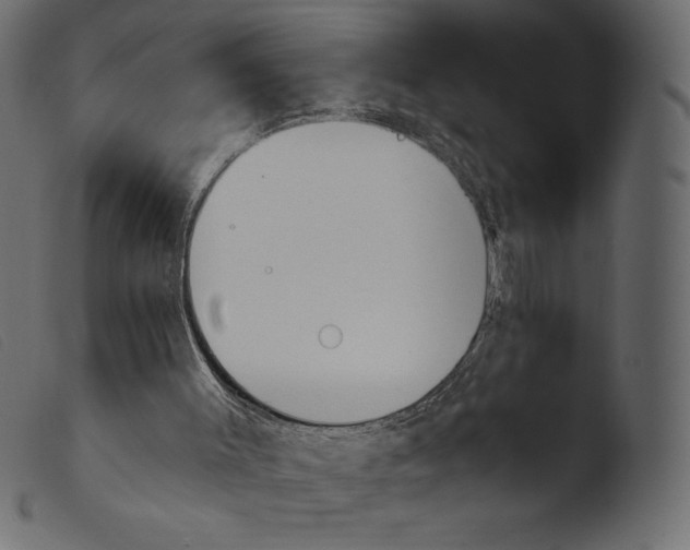 X0000103960003200810101255