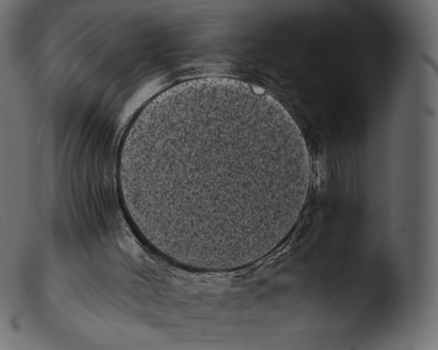 X0000103960004200810101255