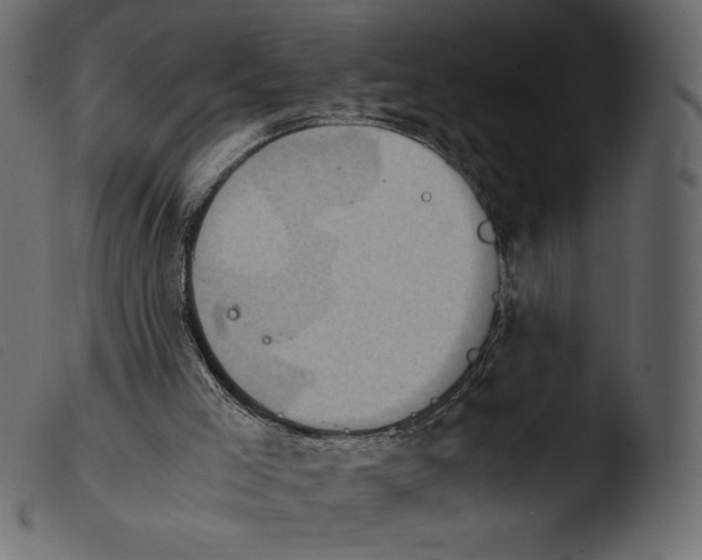 X0000103960005200810101255