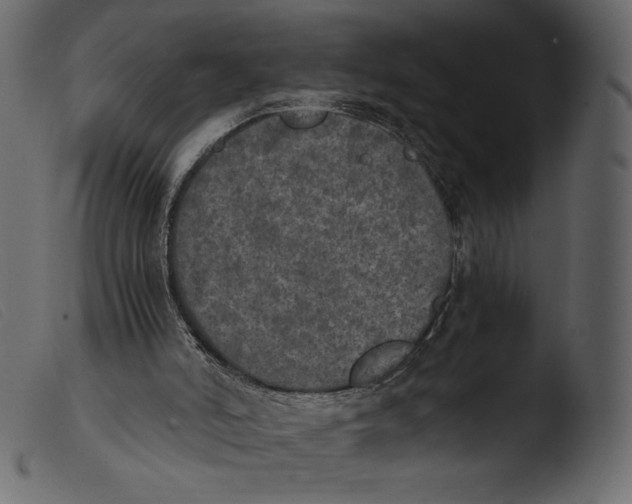 X0000103960006200810101255