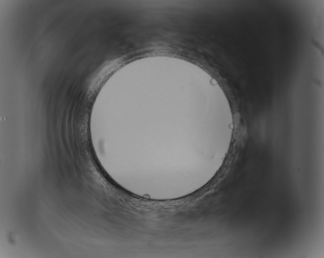 X0000103960007200810101255