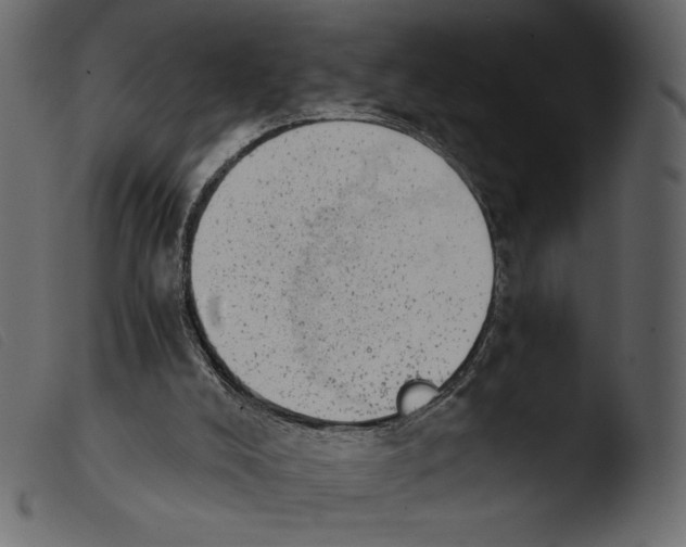 X0000103960008200810101255