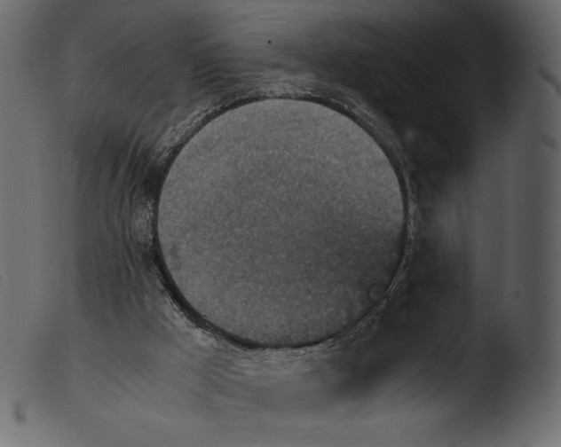 X0000103960009200810101255