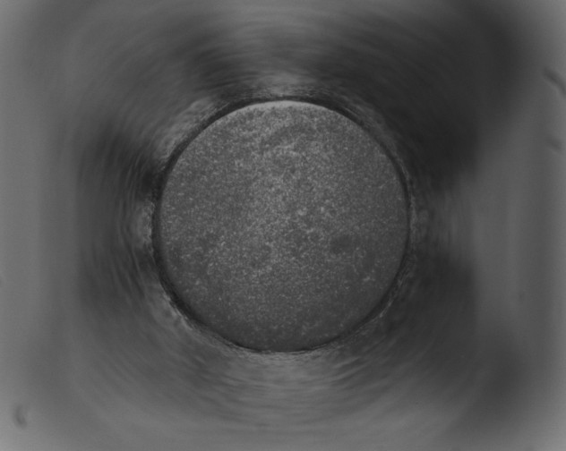 X0000103960010200810101255