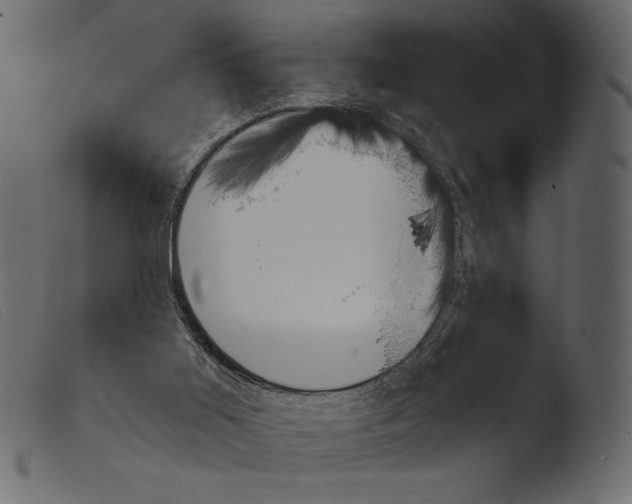 X0000103960011200810101255