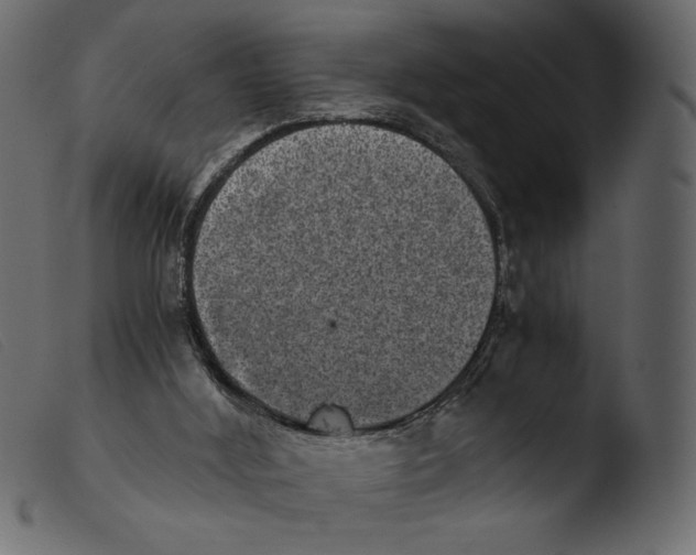 X0000103960012200810101255