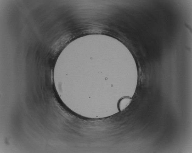 X0000103960013200810101255