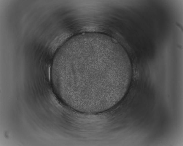 X0000103960014200810101255