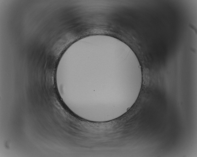 X0000103960015200810101255