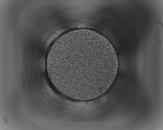 X0000103960016200810101255