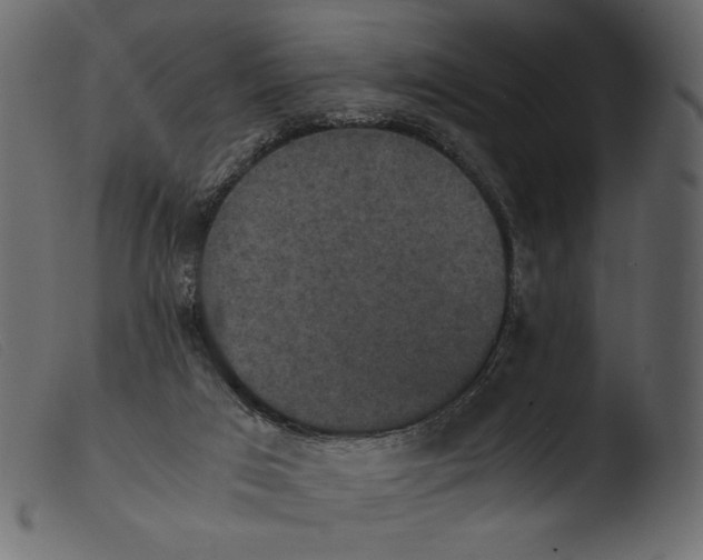 X0000103960017200810101255