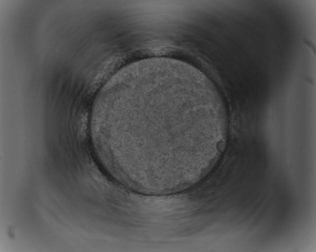 X0000103960018200810101255