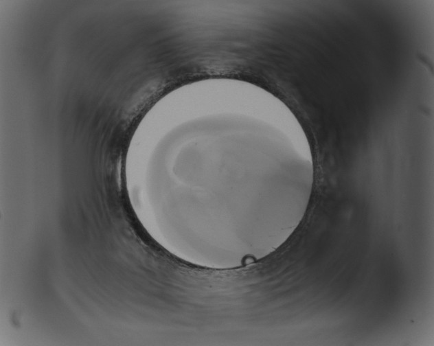 X0000103960019200810101255