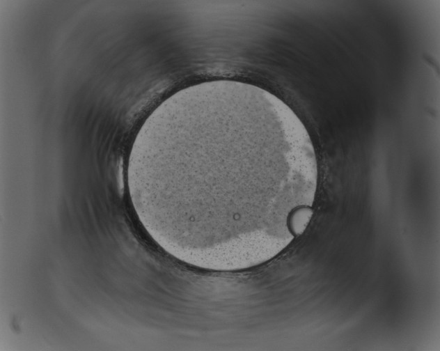 X0000103960020200810101255