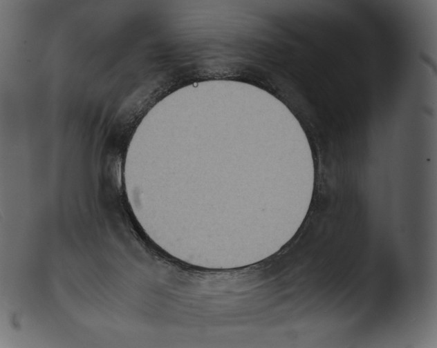 X0000103960021200810101255