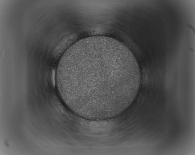 X0000103960022200810101255