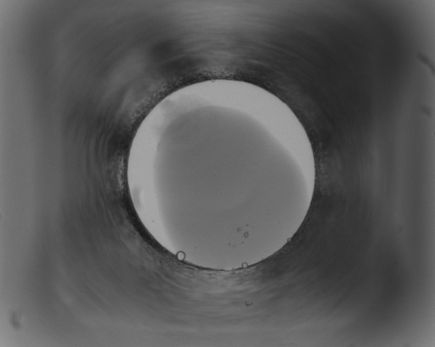 X0000103960023200810101255