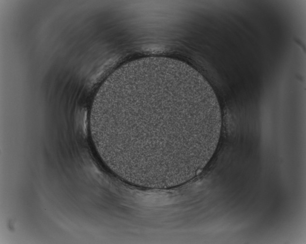 X0000103960024200810101255