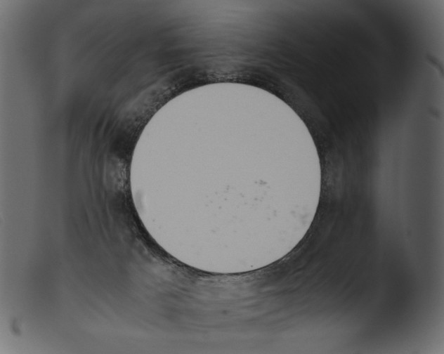 X0000103960025200810101255