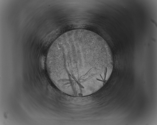 X0000103960026200810101255