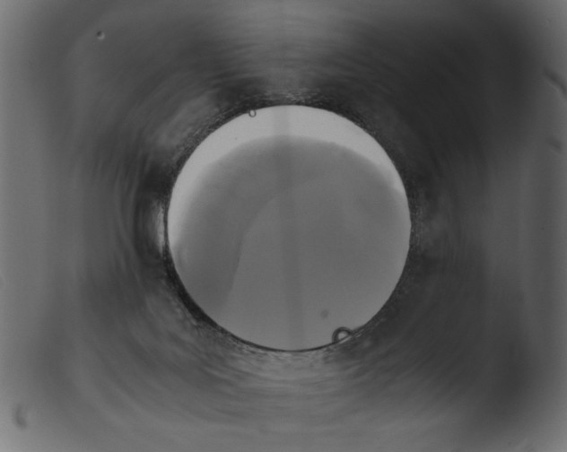 X0000103960027200810101255