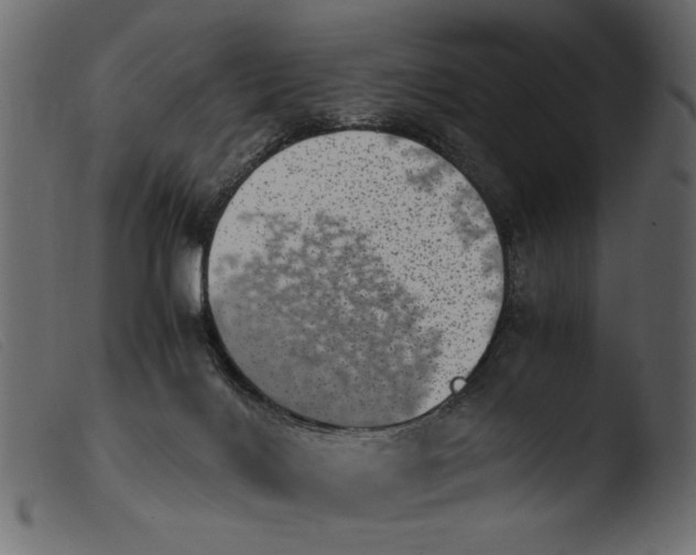 X0000103960028200810101255