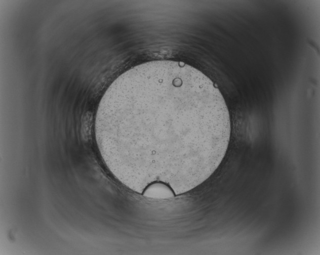 X0000103960030200810101255