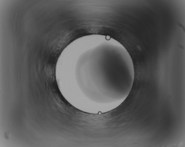 X0000103960031200810101255