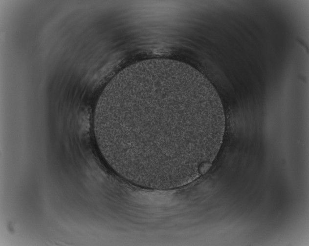 X0000103960032200810101255