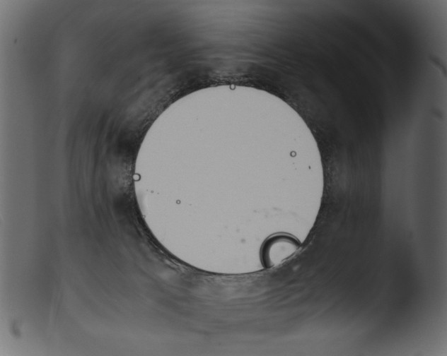 X0000103960033200810101255