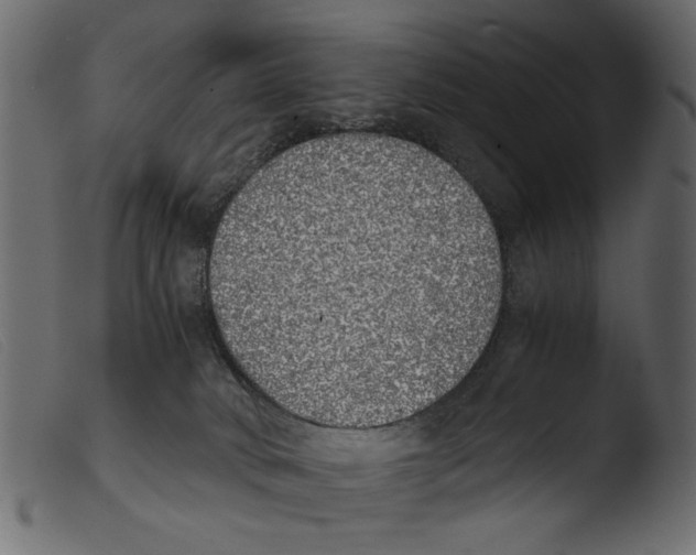 X0000103960034200810101255