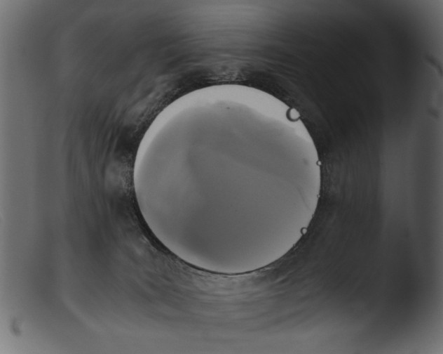 X0000103960035200810101255