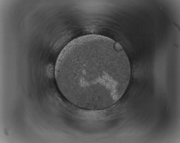 X0000103960036200810101255