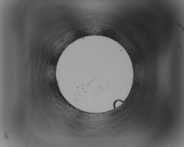 X0000103960037200810101255