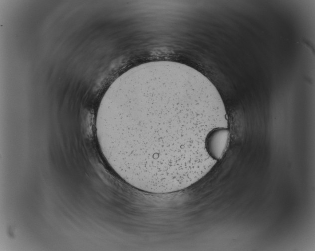 X0000103960038200810101255