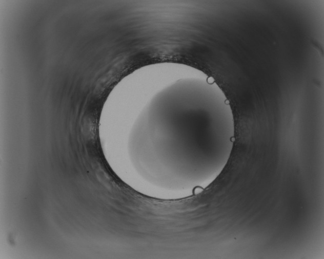 X0000103960039200810101255