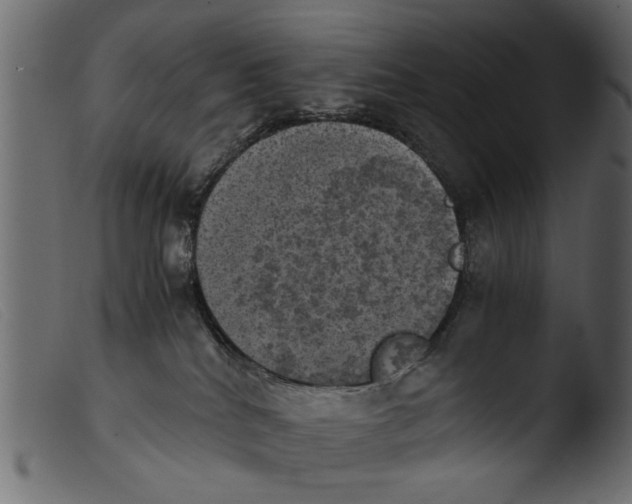 X0000103960040200810101255