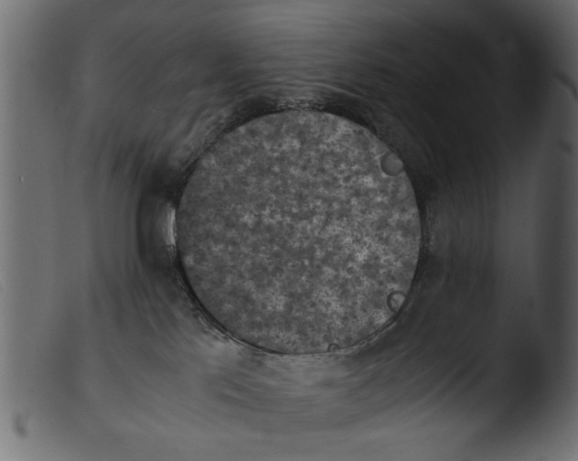 X0000103960041200810101254