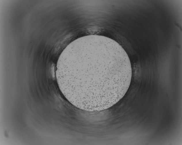 X0000103960042200810101254