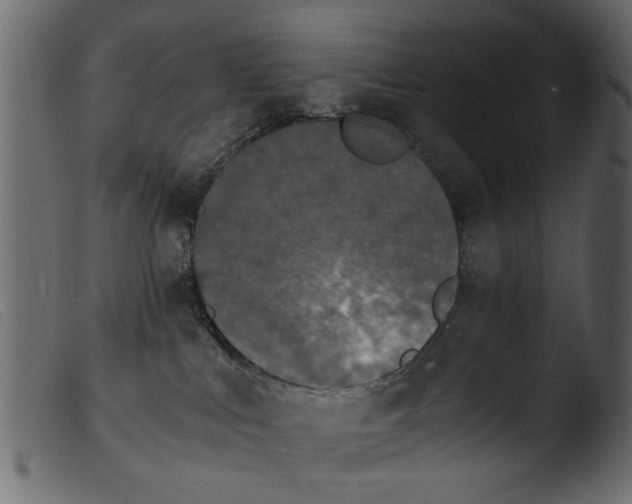 X0000103960043200810101254