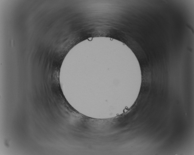 X0000103960045200810101254