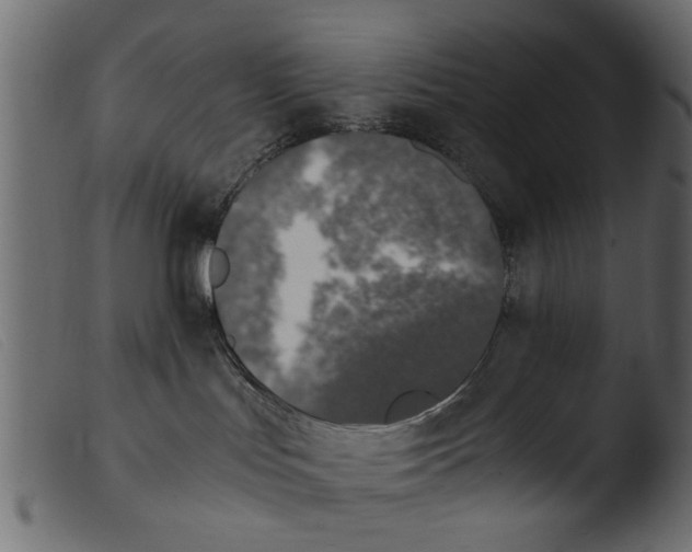 X0000103960047200810101254