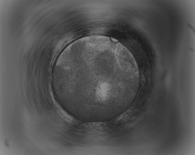 X0000103960049200810101254