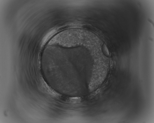 X0000103960053200810101254