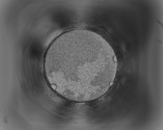 X0000103960054200810101254