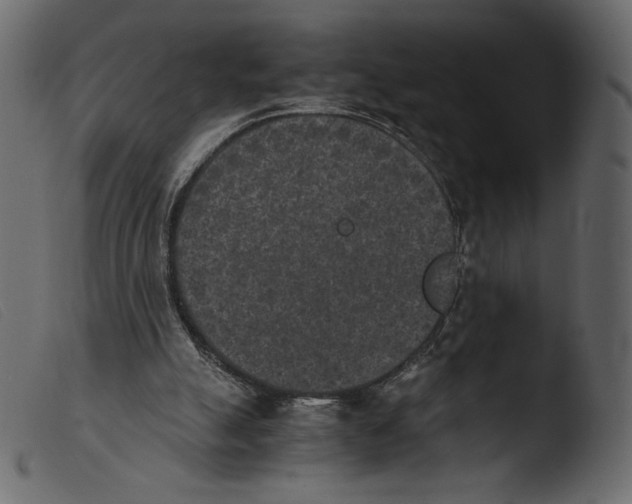 X0000103960055200810101254