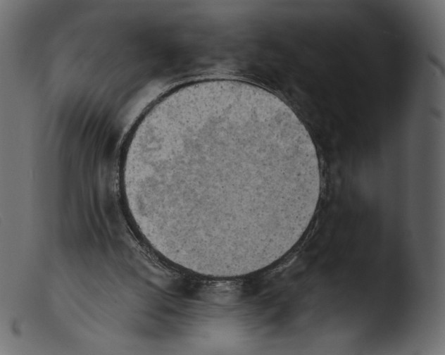 X0000103960056200810101254