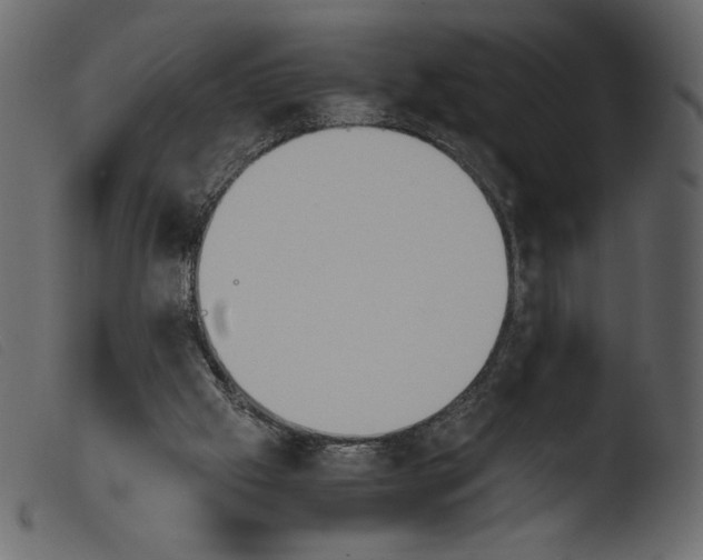 X0000103960057200810101254