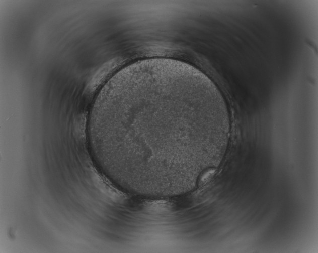 X0000103960058200810101254